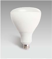 LED R TYPE 110-130V